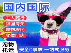 富蕴可可托海机场物流国际宠物托运 【国